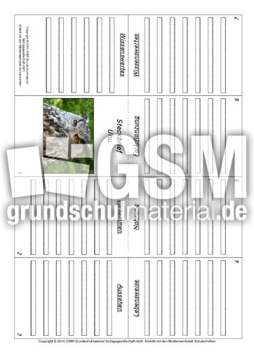 Faltbuch-Uhu.pdf